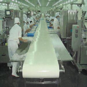 Faja transportadora sanitaria Alimentos