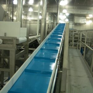 FAJA TRANSPORTADORA SANITARIA ALIMENTOS